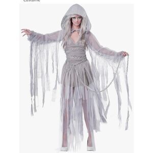 Haunting Beauty Spirit Halloween Costume Adult Small 6–8 California Costumes